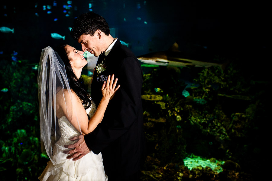 National Aquarium, National Aquarium Weddings, National Aquarium Wedding Photographers, Baltimore Wedding Photographers, Heather & Matt